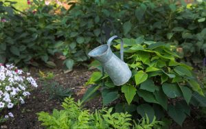 Why Gardening Is the Perfect Hobby for Retirement