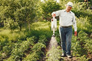 Sustainable Living Tips for Older Adults
