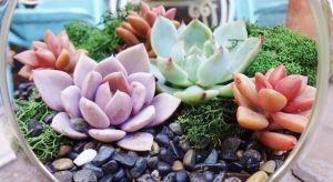 The Best Indoor Plants That Practically Take Care of Themselves