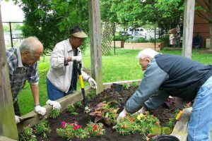Calming Hobbies That Support Mental Clarity