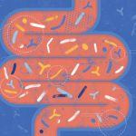 Ways to Improve Gut Health