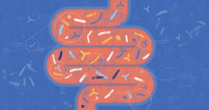 Ways to Improve Gut Health