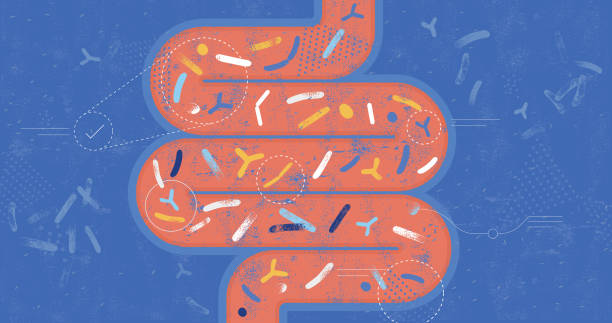 Ways to Improve Gut Health