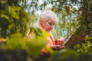 Selecting the Right Gardening Tools and Equipment for Seniors