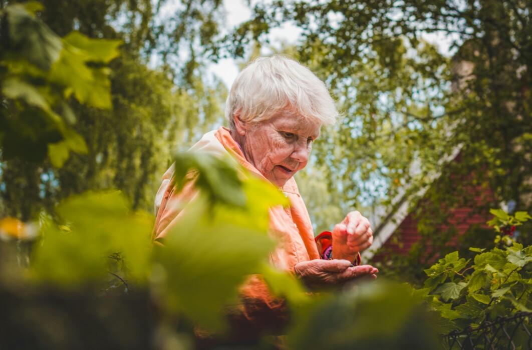 Selecting the Right Gardening Tools and Equipment for Seniors