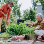 Budget-Friendly Hobbies for Retirees