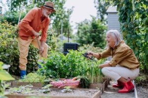 Budget-Friendly Hobbies for Retirees