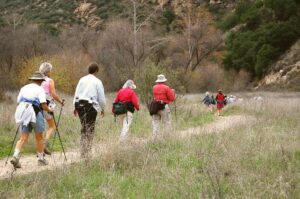 Why Walking Might Be the Best Exercise After 60