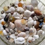 Finding Joy in Collecting