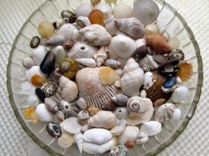 Finding Joy in Collecting