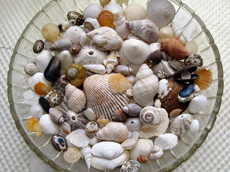 Finding Joy in Collecting