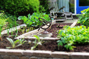 Gardening with Grandkids: Passing Down a Love of Nature