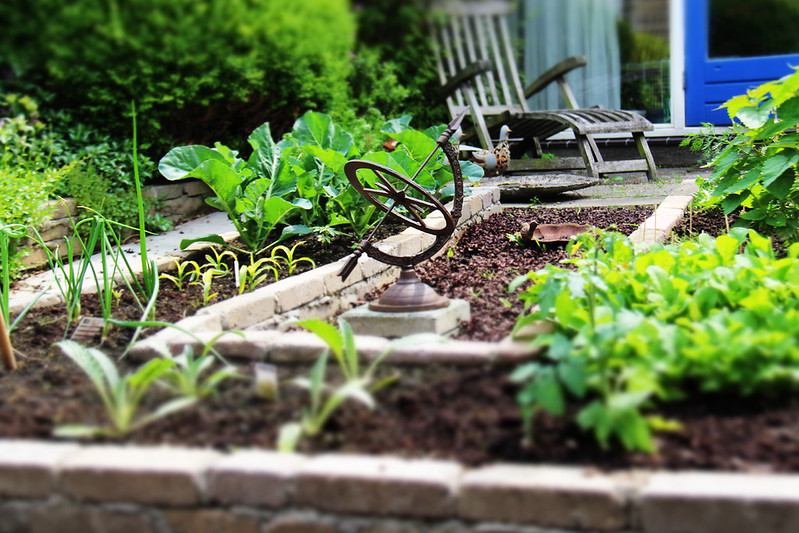 Gardening with Grandkids: Passing Down a Love of Nature