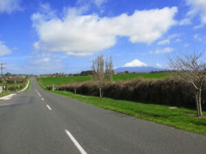 Planning a Safe and Comfortable Road Trip for Seniors