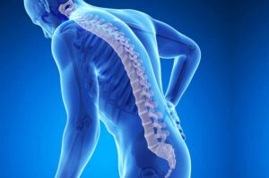 Preventing Osteoporosis Through Diet