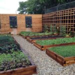 When Your Garden Becomes Your Gym