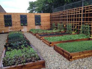 When Your Garden Becomes Your Gym