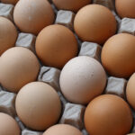 Why Protein Needs Change as We Age (and How to Get Enough)