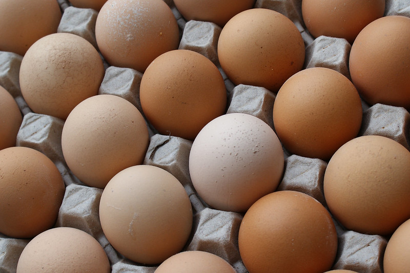 Why Protein Needs Change as We Age (and How to Get Enough)