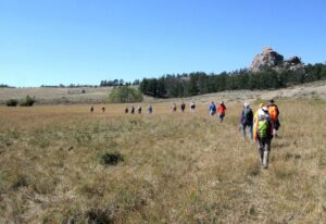 Why a Morning Walk Can Change Your Whole Day