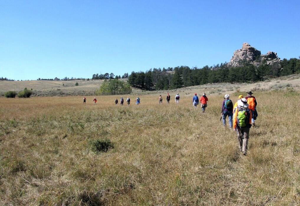 Why a Morning Walk Can Change Your Whole Day