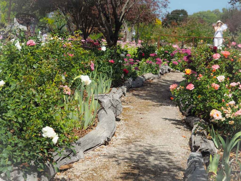 A Walk Through the Garden Can Change the Entire Day
