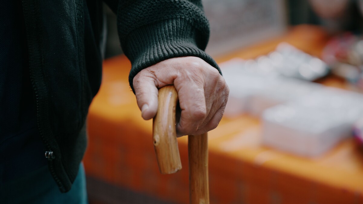 Best Jobs for Seniors with Limited Mobility in NZ