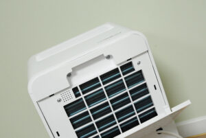 Choosing a Dehumidifier: A Buyer’s Guide for Older Adults
