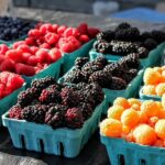 Farmers’ Markets Can Become the Highlight of a Holiday