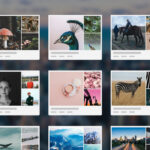 Give Your Digital Photos a Proper Home