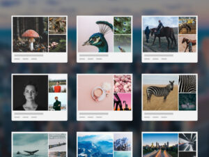 Give Your Digital Photos a Proper Home