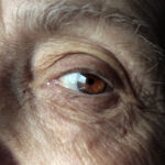 How Often Should Seniors Really Get Eye Exams?