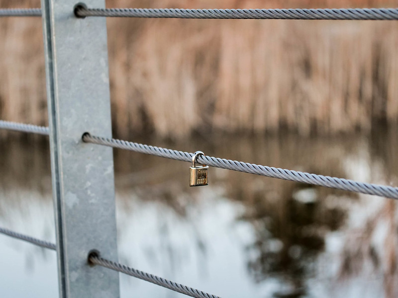 How to Protect Yourself from Identity Theft