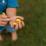 Teaching Grandchildren While Learning From Them