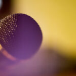 The Surprising Brain Benefits of Singing After 60