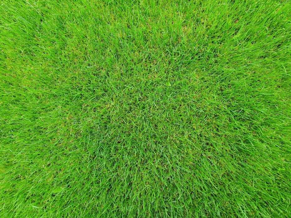 When to Use Herbicide Safely Around the Home