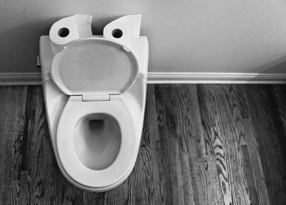 Listen to Your Toilet After You Flush