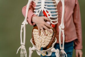 Understanding Your Digestive System in Later Life