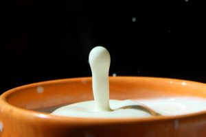 Whole Milk or Low-Fat: Which Is Better for Seniors?