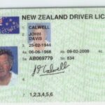 Will Your Licence Let You Drive Overseas?
