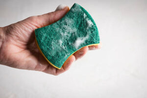 Your Kitchen Sponge May Need Replacing