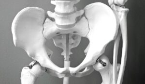 Kiwi Men Need to Pay Attention to Bone Health Too