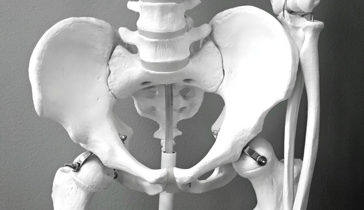 Kiwi Men Need to Pay Attention to Bone Health Too