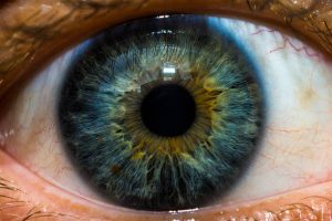 The Spots in Your Vision You Shouldn’t Ignore